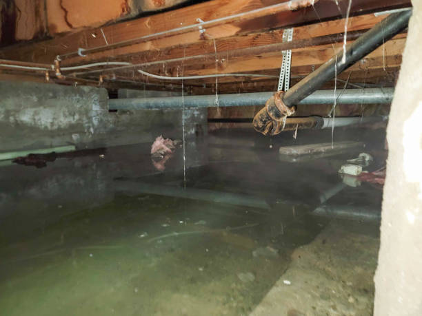 Best Water damage contractors near me  in Pleasant Hills, MD