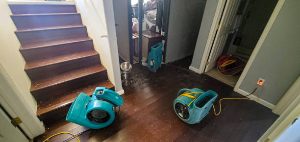 Best Flooded house restoration  in Pleasant Hills, MD