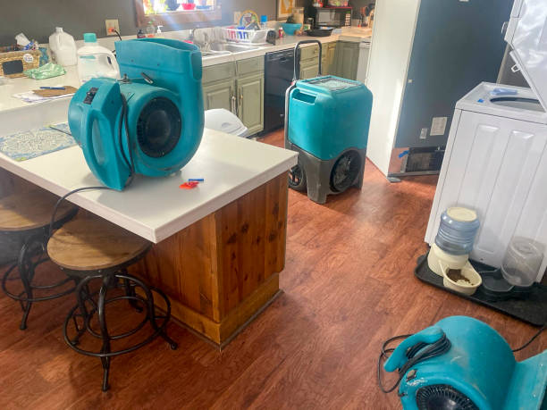 Best Flood damage cleanup  in Pleasant Hills, MD