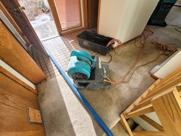Best Local water damage restoration  in Pleasant Hills, MD