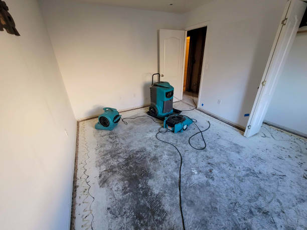 Best Emergency water damage restoration  in Pleasant Hills, MD