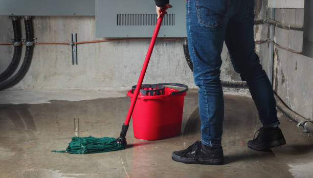 Best Water damage restoration near me  in Pleasant Hills, MD
