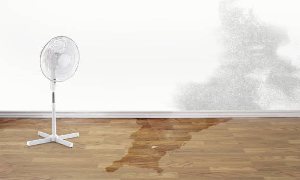 Local water damage restoration in Pleasant Hills, MD