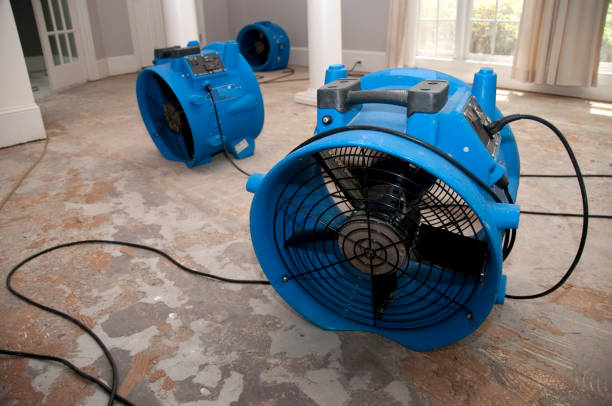 Best 24-hour water damage restoration  in Pleasant Hills, MD