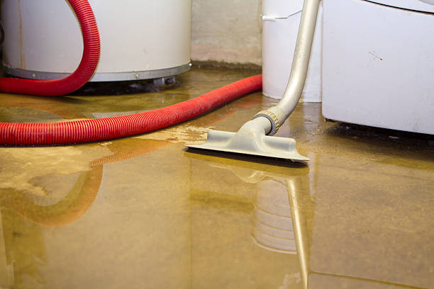 Best Water damage restoration company  in Pleasant Hills, MD