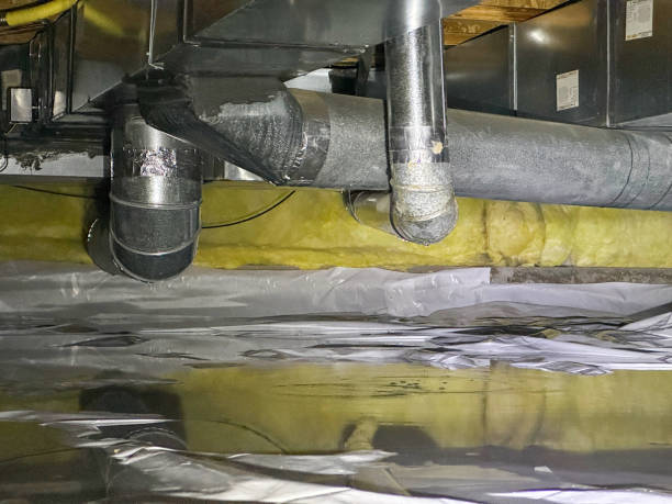 Best Water damage cleanup near me  in Pleasant Hills, MD