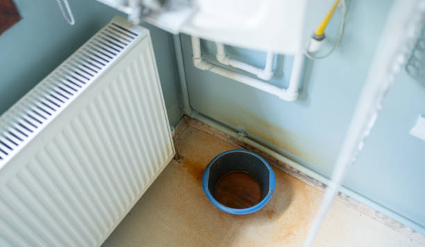 Best Water damage mitigation services  in Pleasant Hills, MD