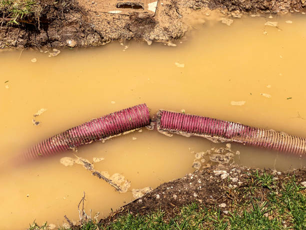 Best Mold removal after water damage  in Pleasant Hills, MD