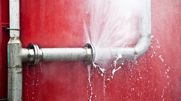 Best Ceiling water damage repair  in Pleasant Hills, MD